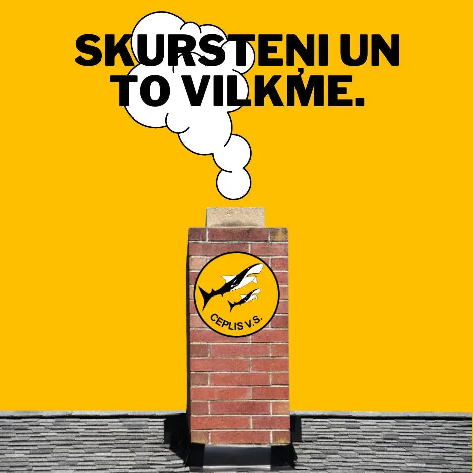 Tips for Safe Wood Stove Use and the Importance of a Chimney Liner ceplis.eu